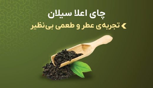 چای هلسا