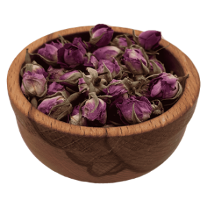 غنچه گل محمدی