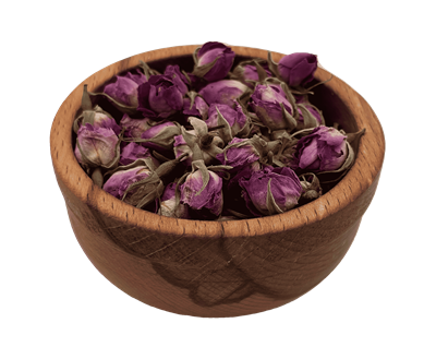 غنچه گل محمدی